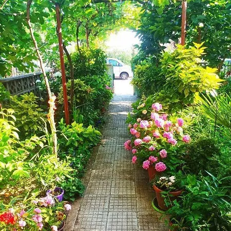 Guest house Casa Bianca - Summer Residency Primorsko